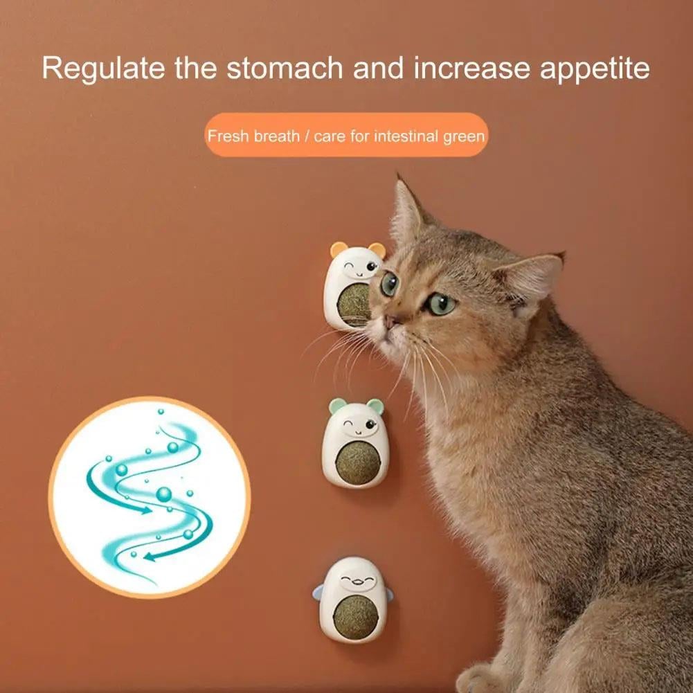 Petcorn Catnipli İnteraktif Kedi Oyuncağı  6 Cm