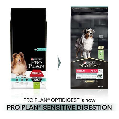 ProPlan Kuzu Etli Orta ve büyük Irk Yetişkin Köpek Maması 14 Kg + 2,5 Kg Hediye