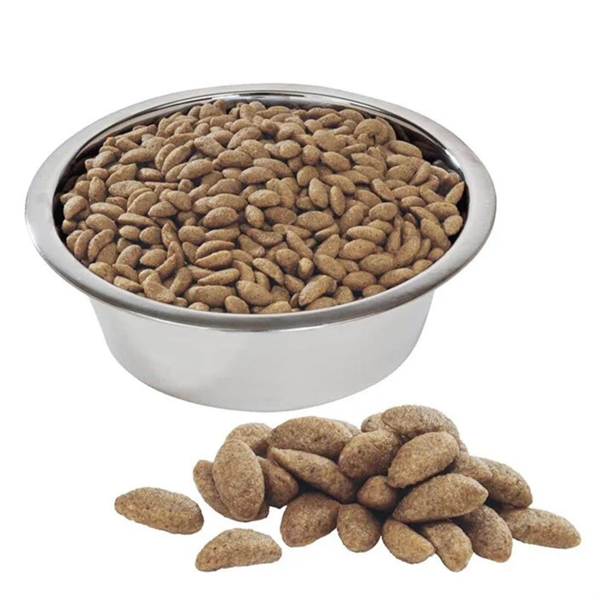 ProPlan Somonlu Orta ve Büyük Irk Yetişkin Köpek Maması 14 Kg