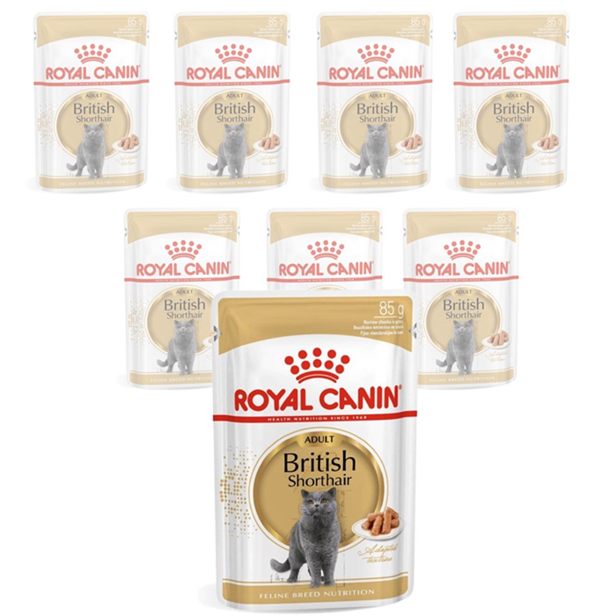 Royal Canin British Shorthair Yetişkin Pouch Kedi Konservesi 85 Gr (12 Adet)