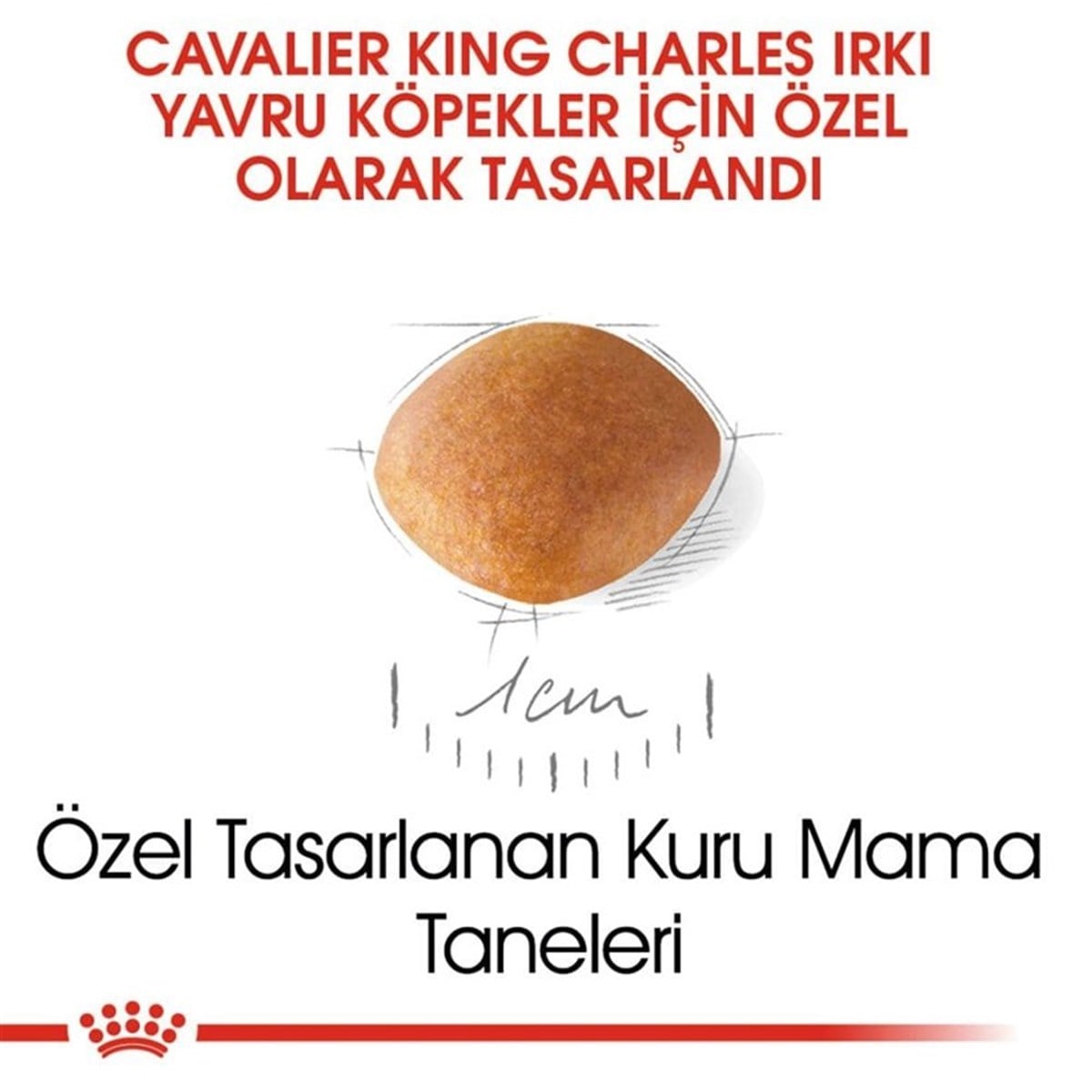 Royal Canin Cavalier King Charles Puppy Yavru Köpek Maması  1,5 Kg