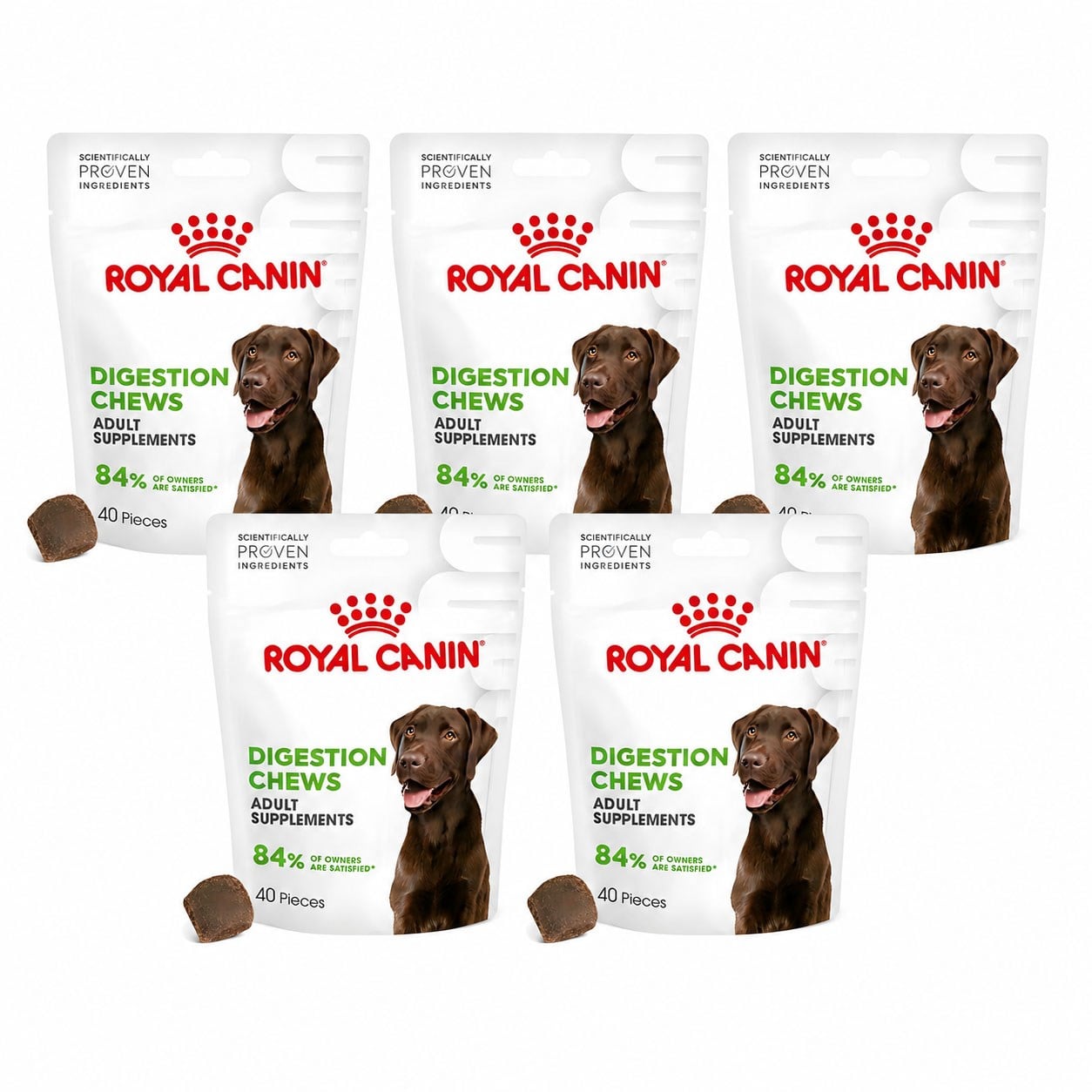 Royal Canin Digestion Sindirim Sistemi Destekleyen Yetişkin Köpek Ödülü 160 gr x 5 Adet