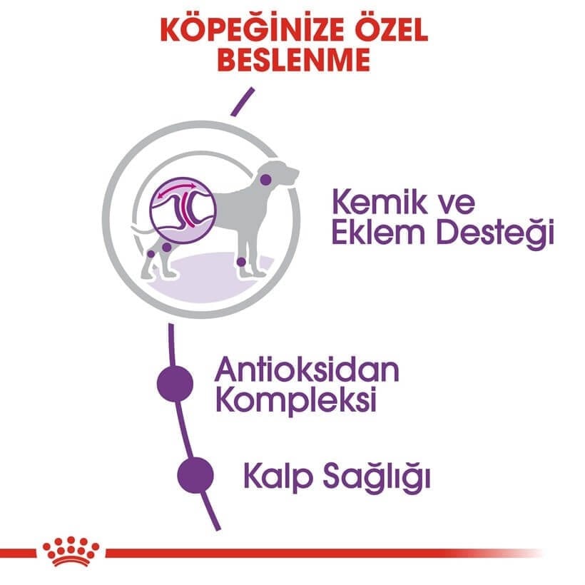 Royal Canin Giant Dev Irk Yetişkin Köpek Maması 15 Kg