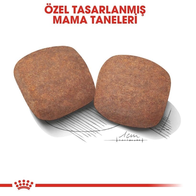 Royal Canin Giant Dev Irk Yetişkin Köpek Maması 15 Kg