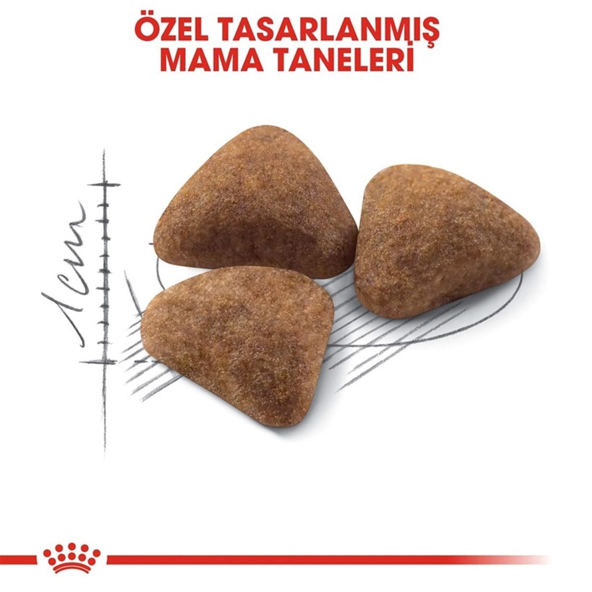 Royal Canin Indoor 27 Evde Yaşayan Yetişkin Kedi Maması  2 Kg