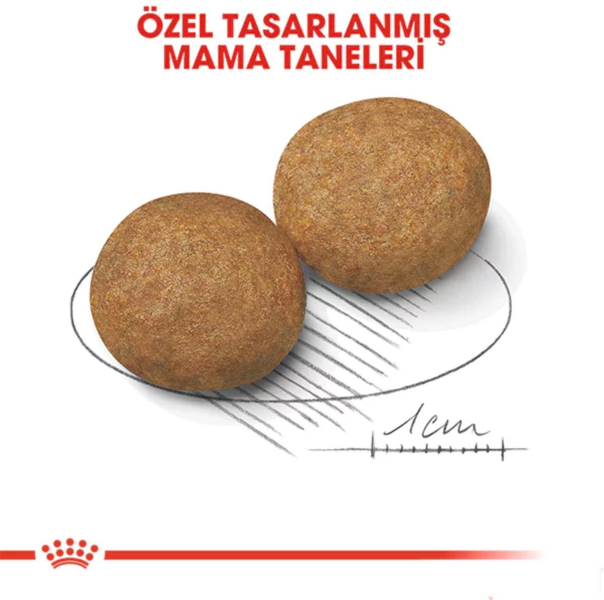 Royal Canin Medium Orta Irk Yavru Köpek Maması  15 Kg