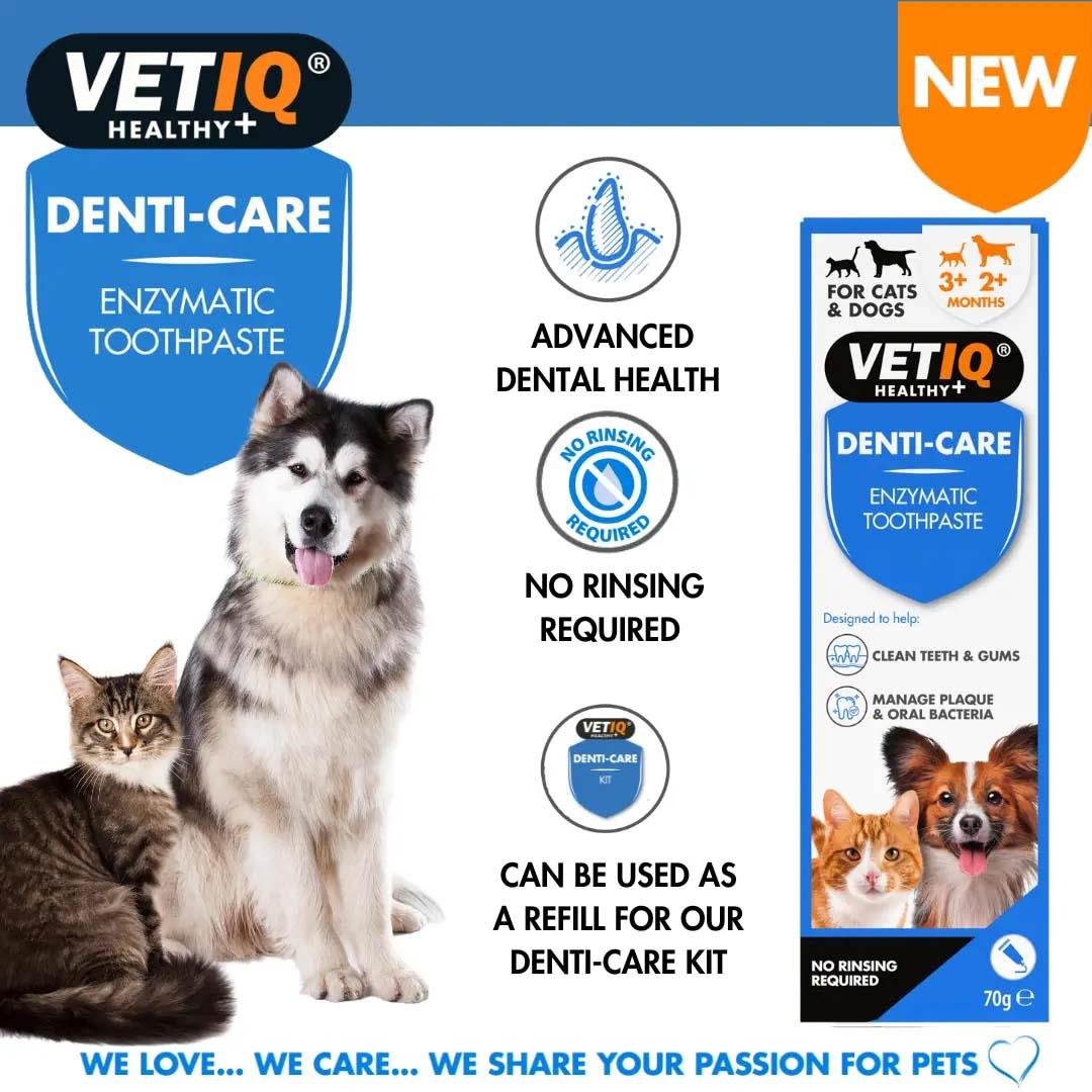 VetIQ Denti Care Enzimatik Kedi Köpek Diş Macunu 70 g