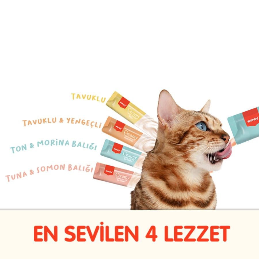 Wanpy Creamy 4 Lezzetli Karışık Krema Kedi Ödülü 100 Adet (14 g)