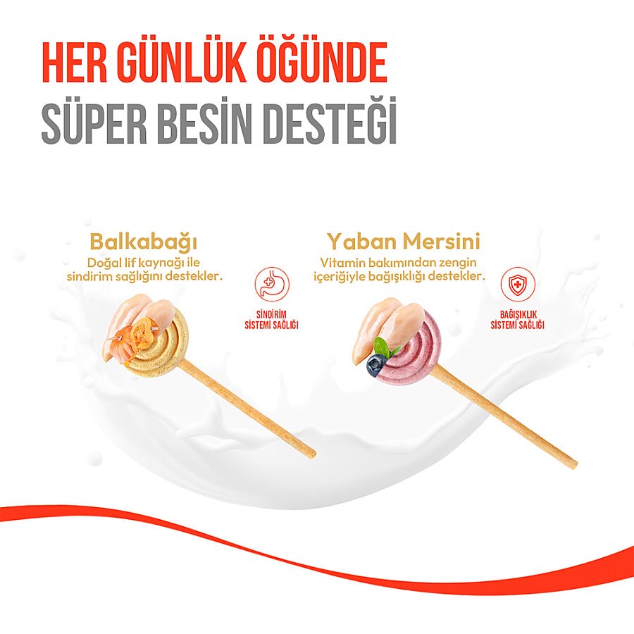 Wanpy Dondurularak Kurutulmuş Lolipop Köpek Ödülü  6 g Balkabaklı