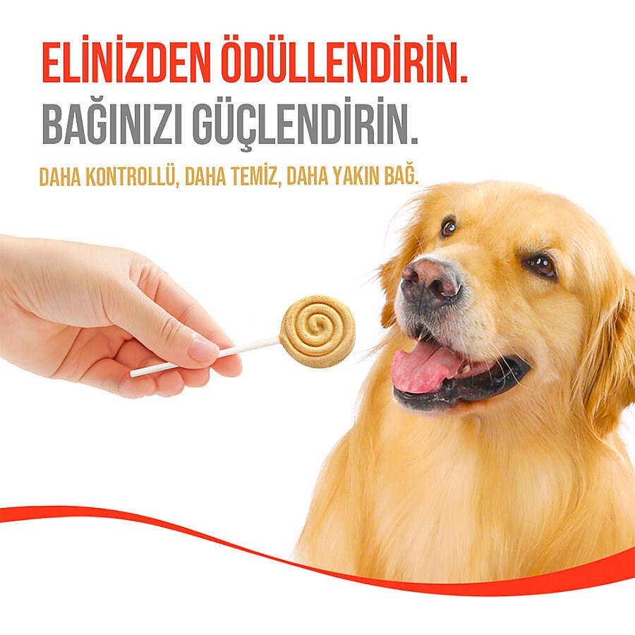 Wanpy Dondurularak Kurutulmuş Lolipop Köpek Ödülü  6 g Balkabaklı
