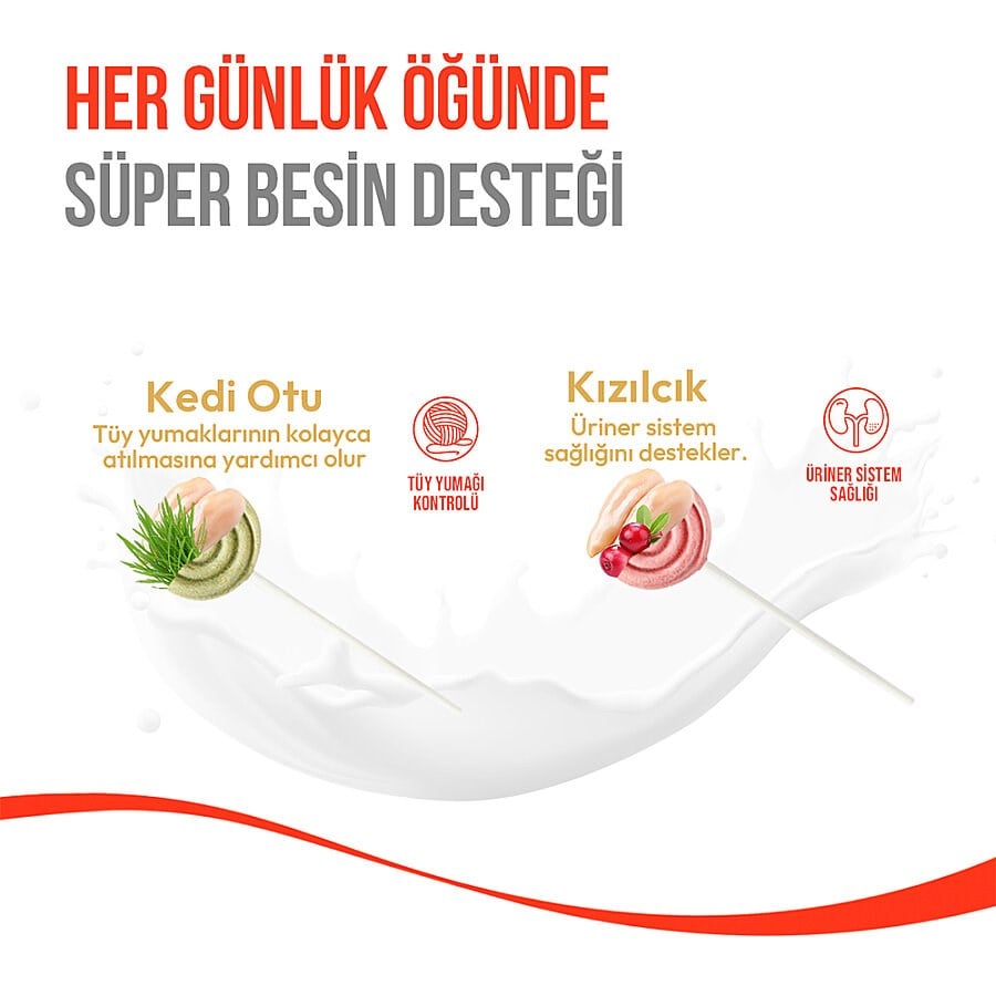 Wanpy Donurularak Kurutulmuş Lolipop Kedi Ödülü Spirulina 1,4 g