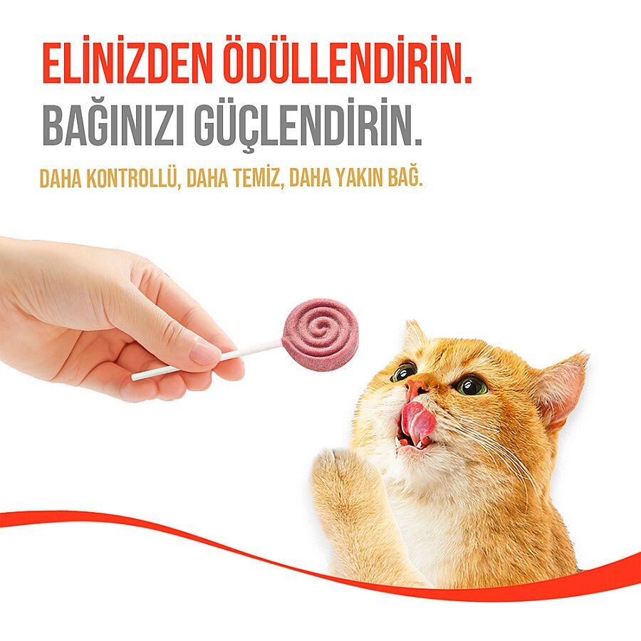 Wanpy Donurularak Kurutulmuş Lolipop Kedi Ödülü Kızılcık 1,4 g