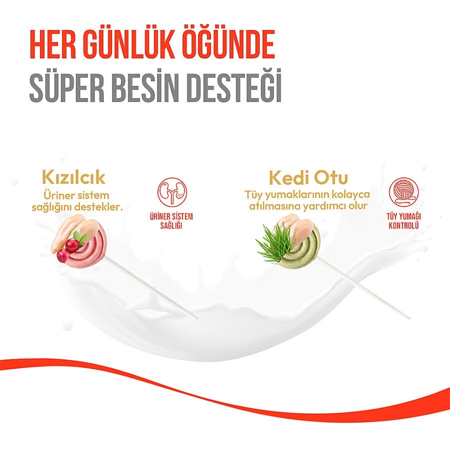 Wanpy Donurularak Kurutulmuş Lolipop Kedi Ödülü Kızılcık 1,4 g (5 ADET)