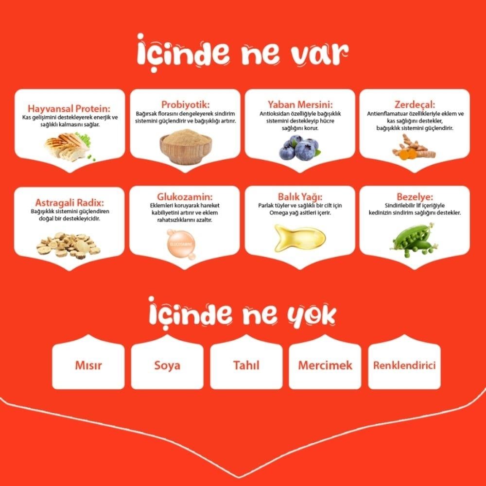 Wanpy Tavuklu Tahılsız Yavru Köpek Maması 1,5 Kg