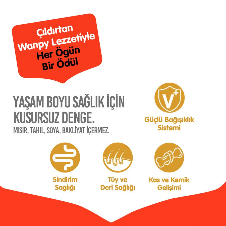 Wanpy Tavuklu Tahılsız Yavru Köpek Maması 1,5 Kg