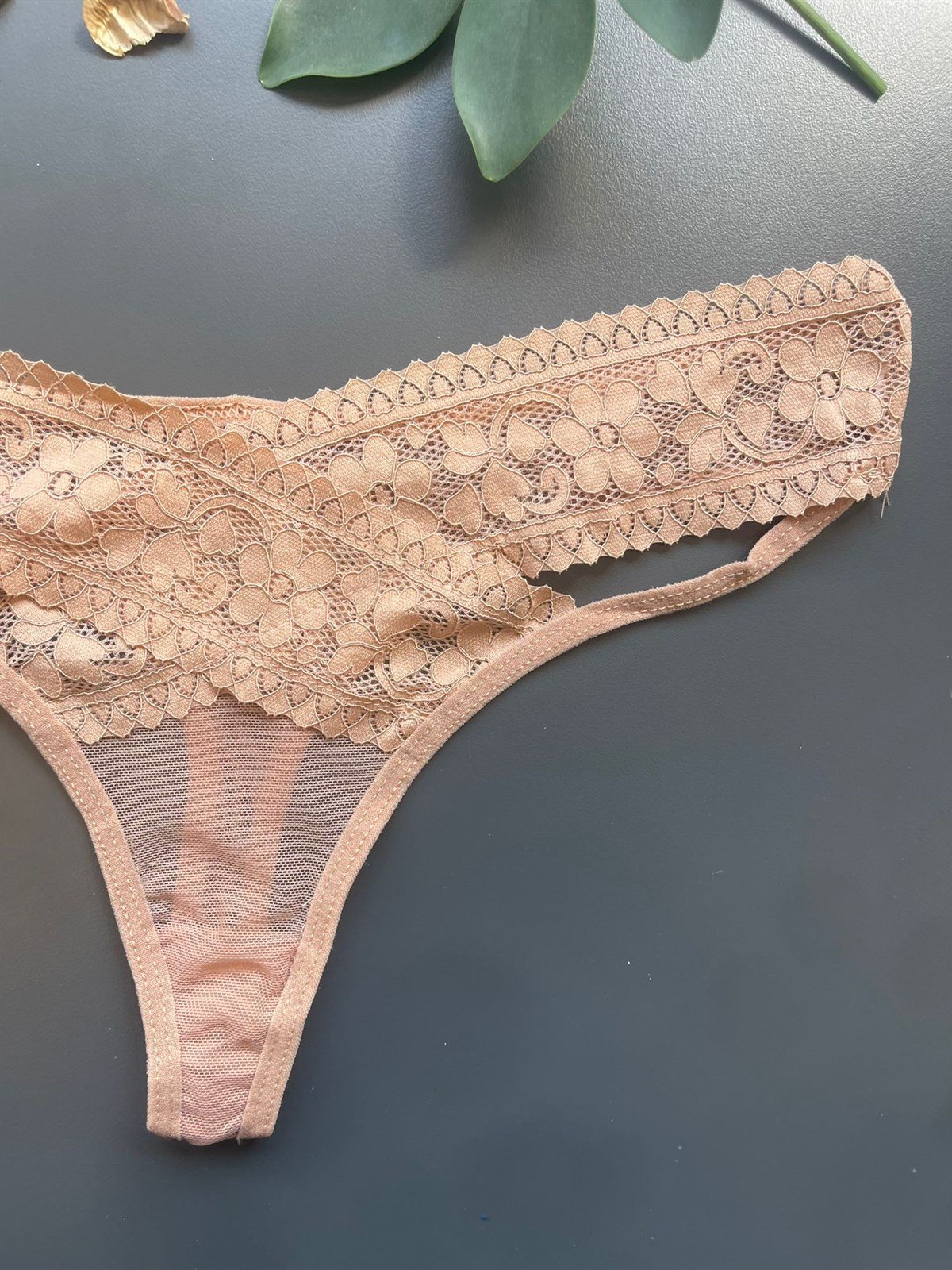 Çapraz Dantelli Tül Tanga (4556)