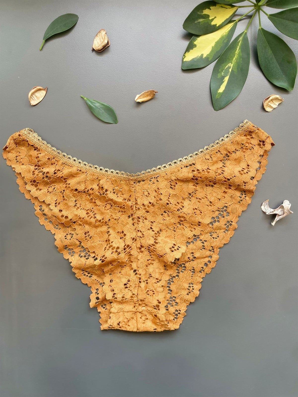 Dantelli İşlemeli Camel Külot