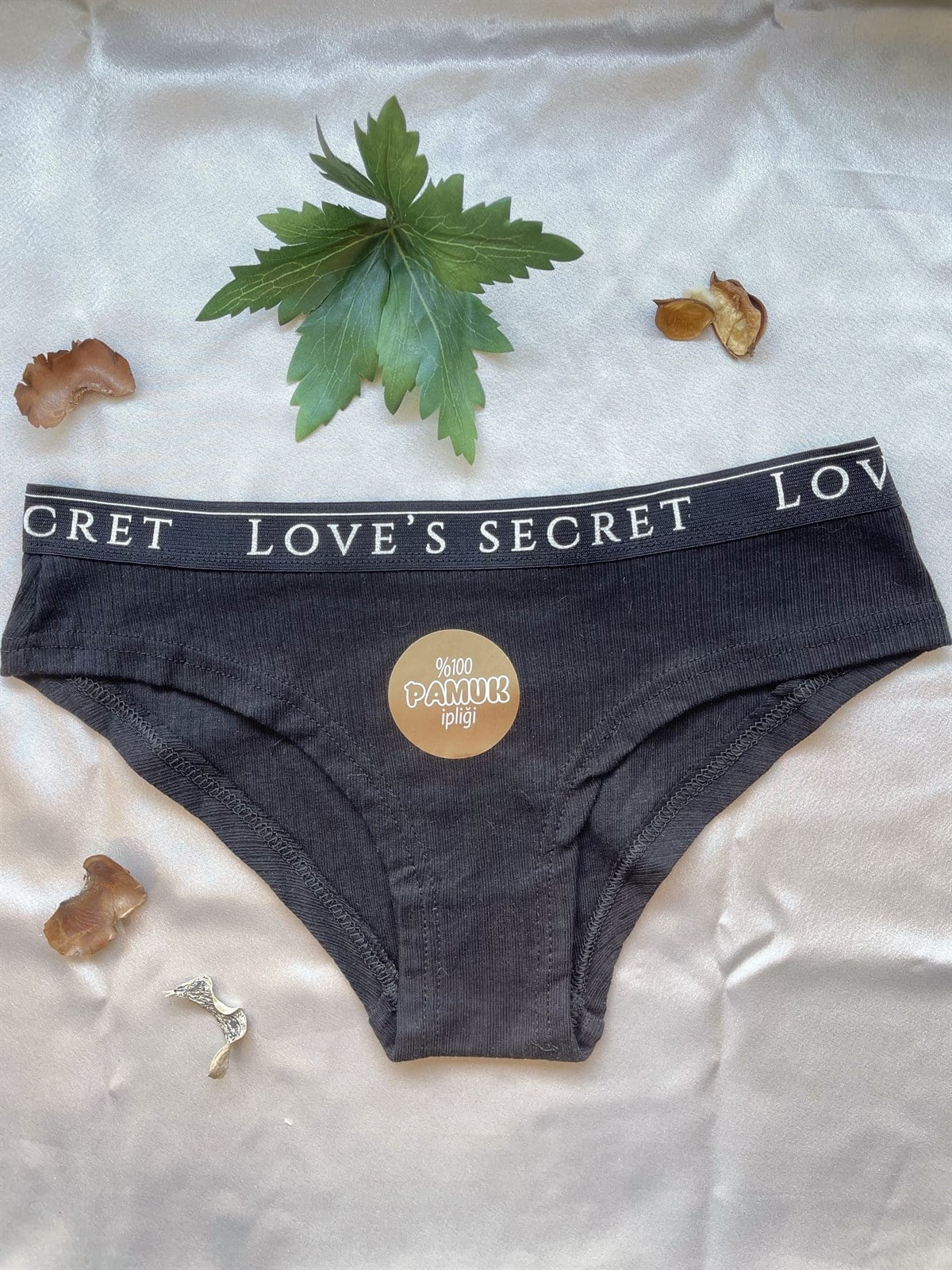 Kadın Siyah Dantelli Pamuk Külot (4342)