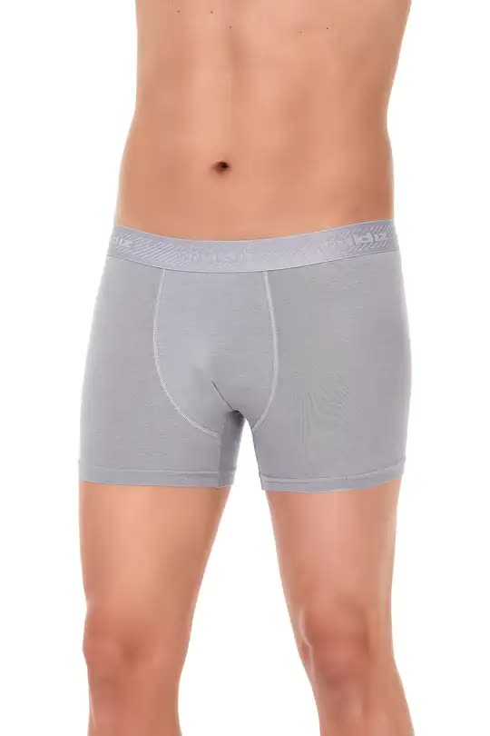 Yıldız Erkek Modal Gri Füme Boxer  - 41