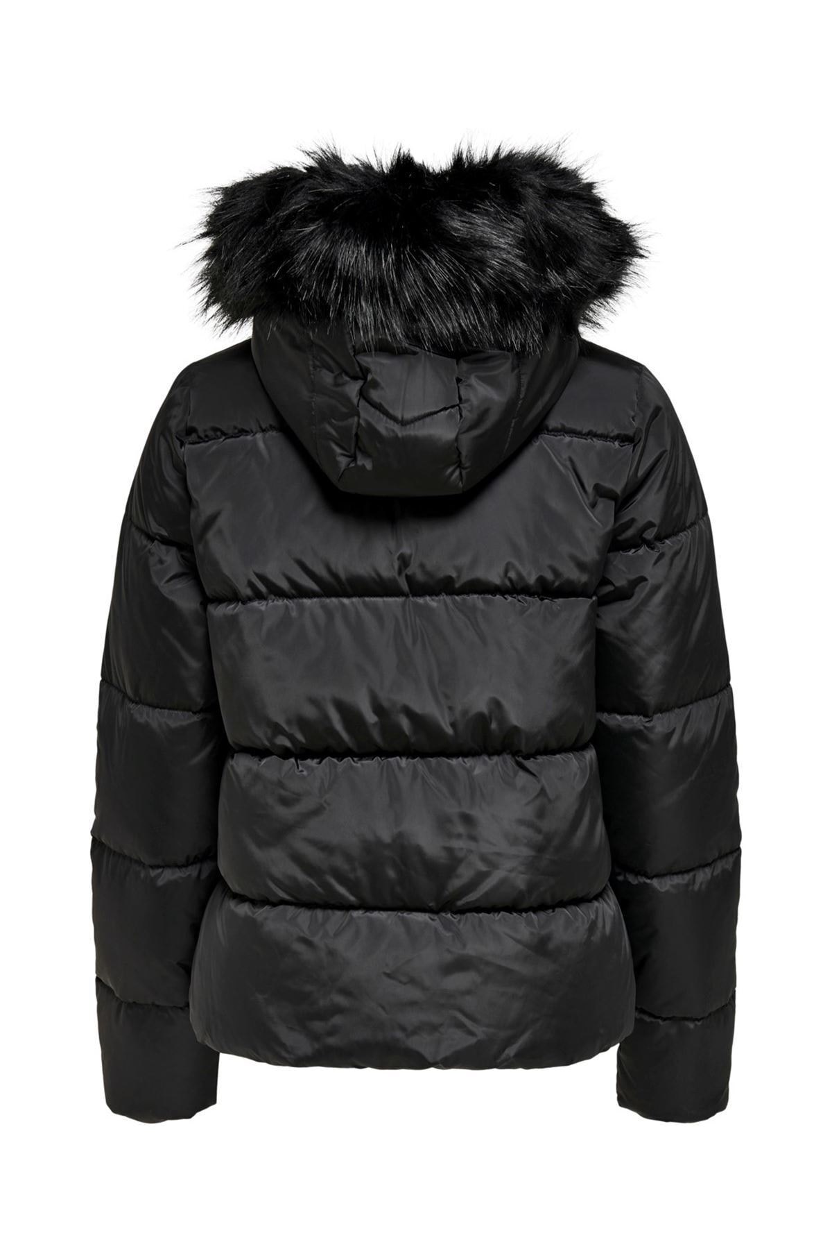 Only 15205638 BAYAN MONT20KBTKS00469-00011ONLY