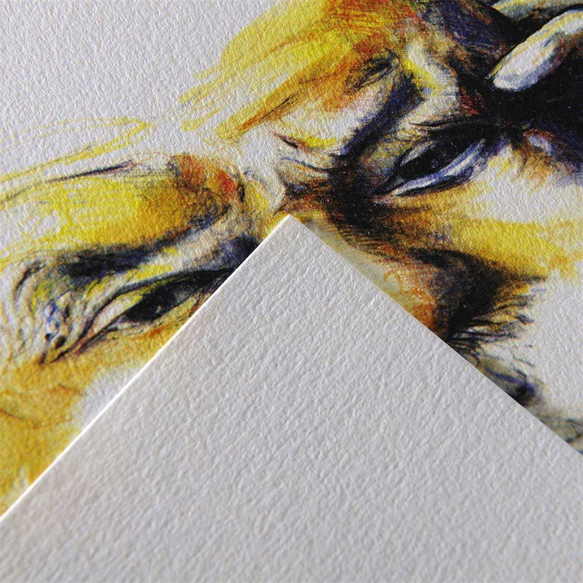 Canson400084107Canson Ca Grain İnce Dokulu Eskiz Blok 224 gr 30 Sayfa