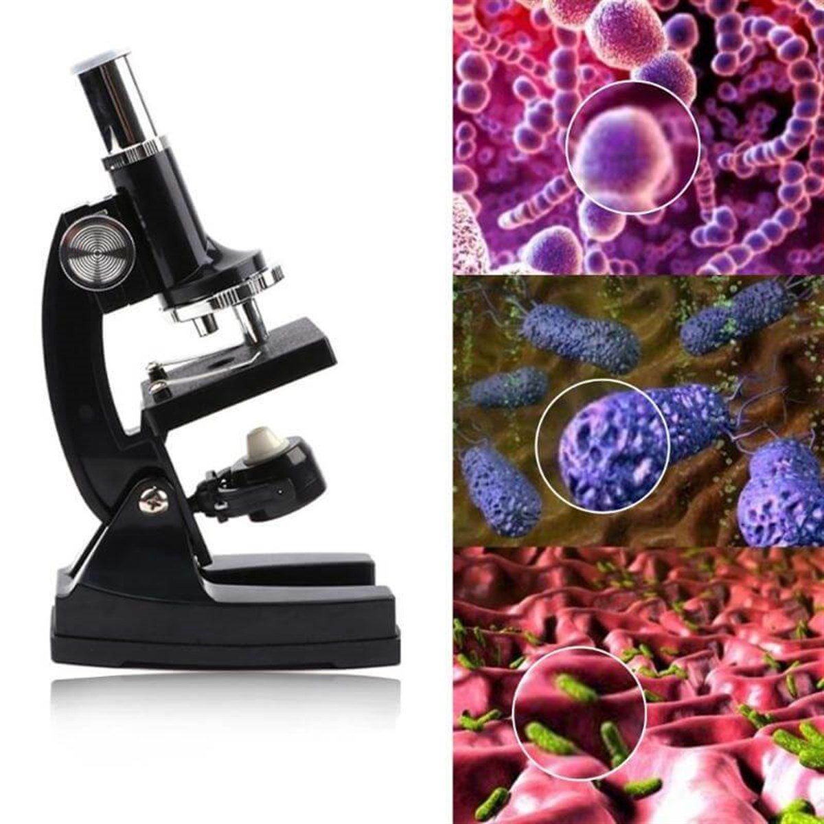 Mikroskop Seti TF-L750 12 ParçaELEKTRONİKSense