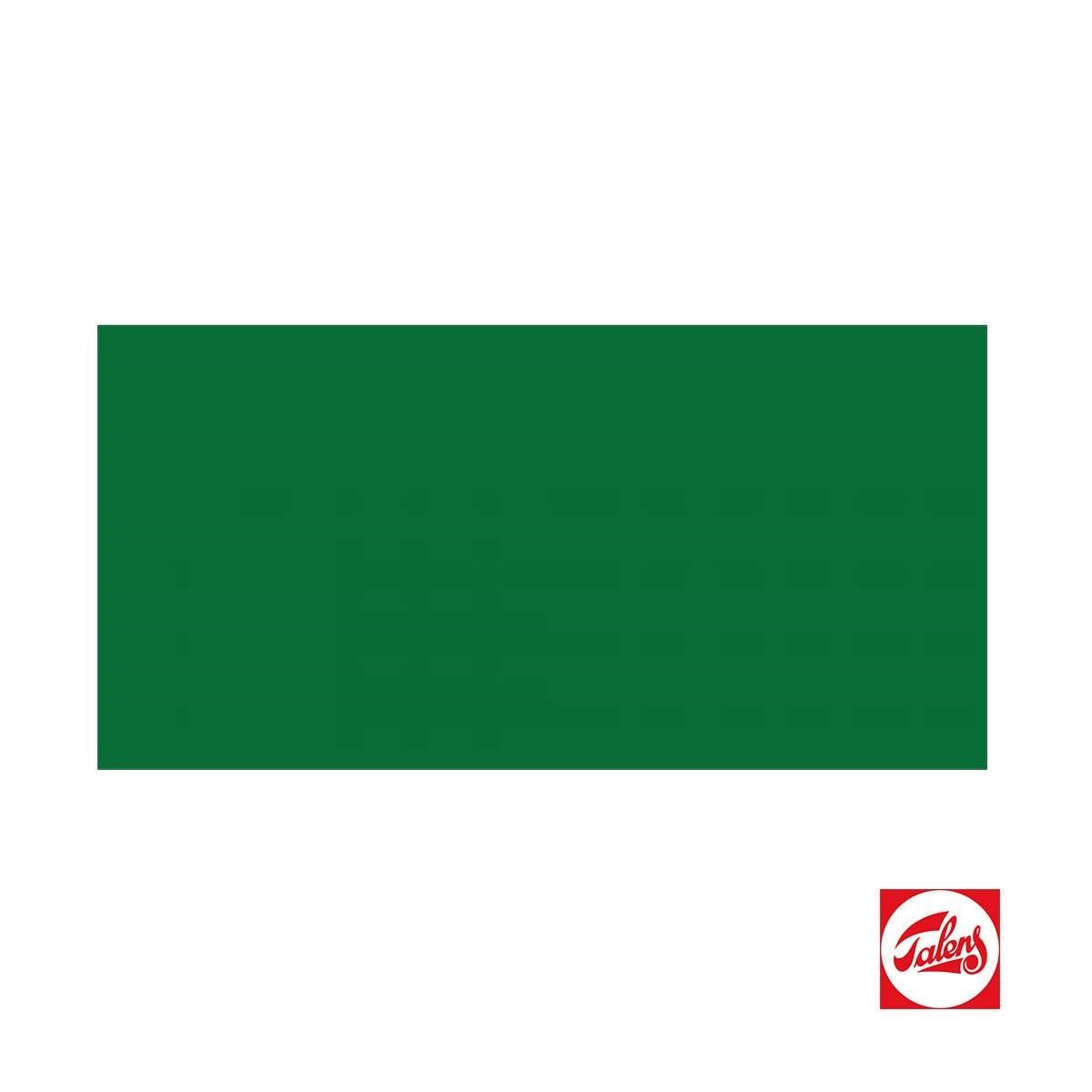 Talens Amsterdam Akrilik Boya 120 ml Permanent Green Light RT17096182