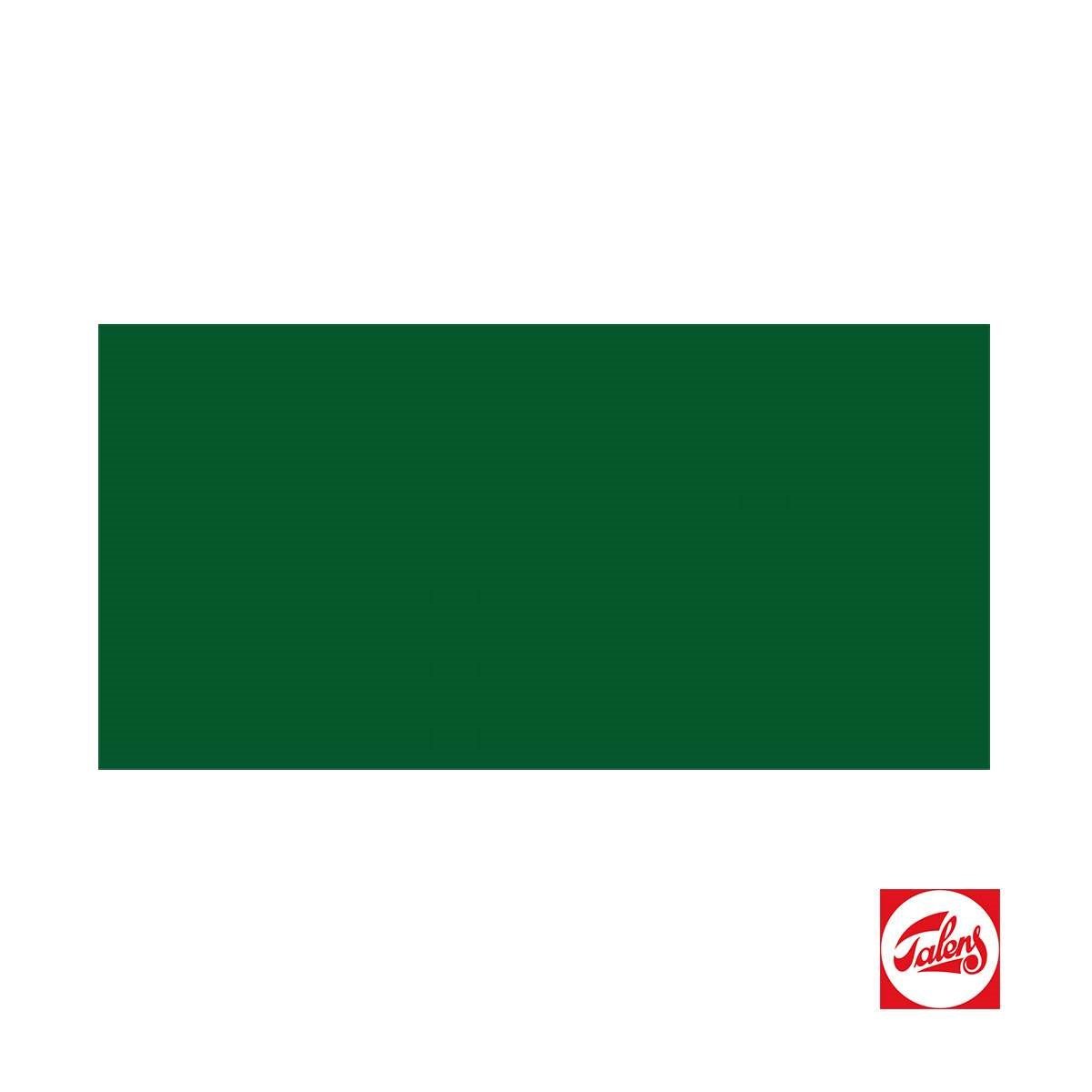 Talens Amsterdam Akrilik Boya 120 ml Sap Green RT17096232