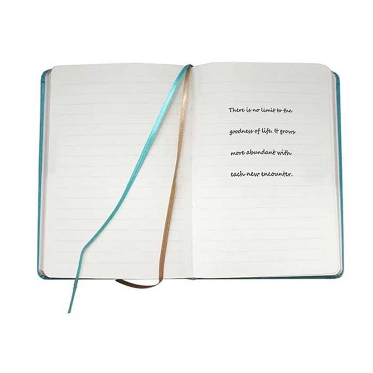 Victoria's Journals Vintage Old Book Defter Turkuaz 12x17Victoria's Journals Vintage Old Book Defter TurkuazDefterVictoria's Journals