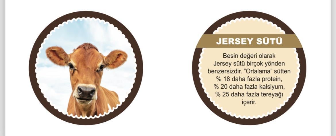SabaSaba Jersey Süt Reçeli 270 Gr.