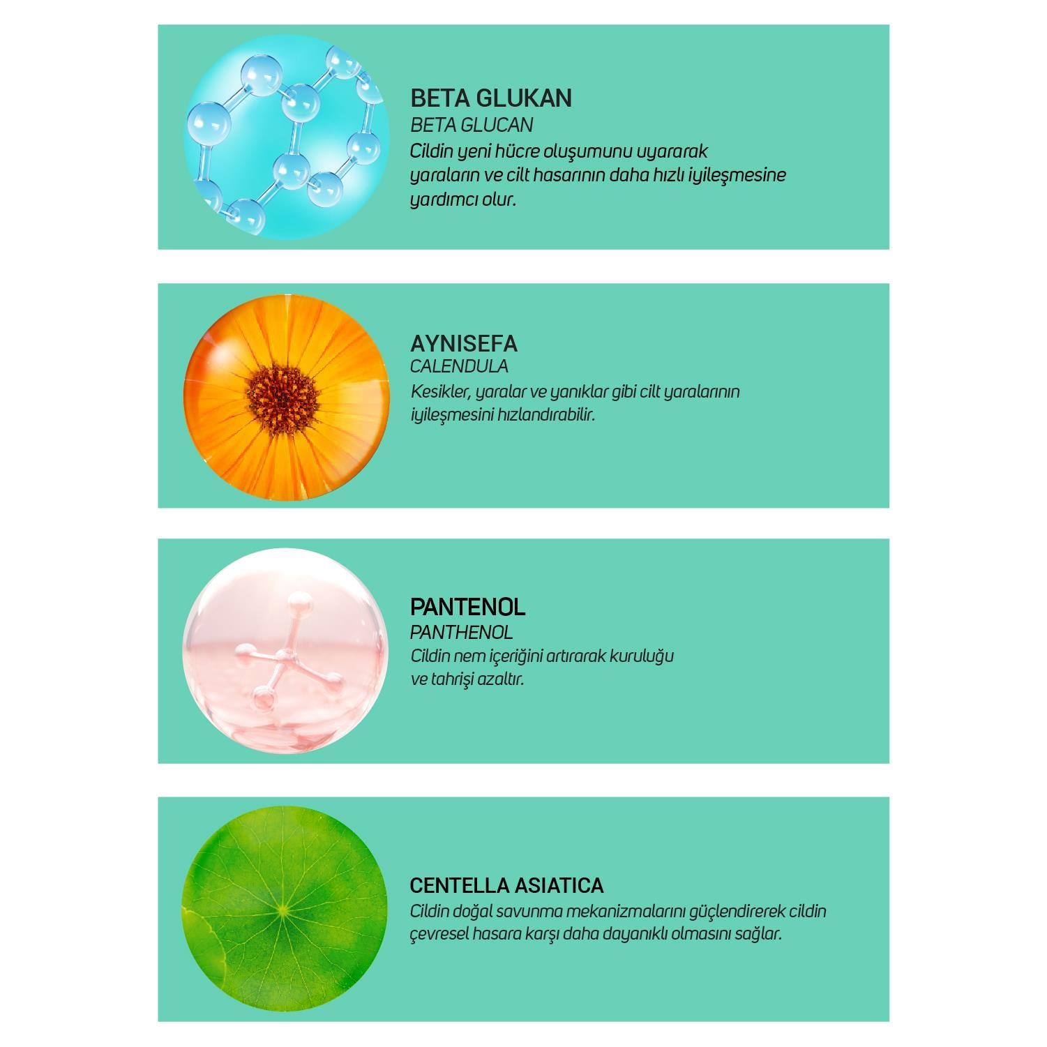 ClinicLab Karma ve Yağlı Cilt Temizleme Sütü 200 ml