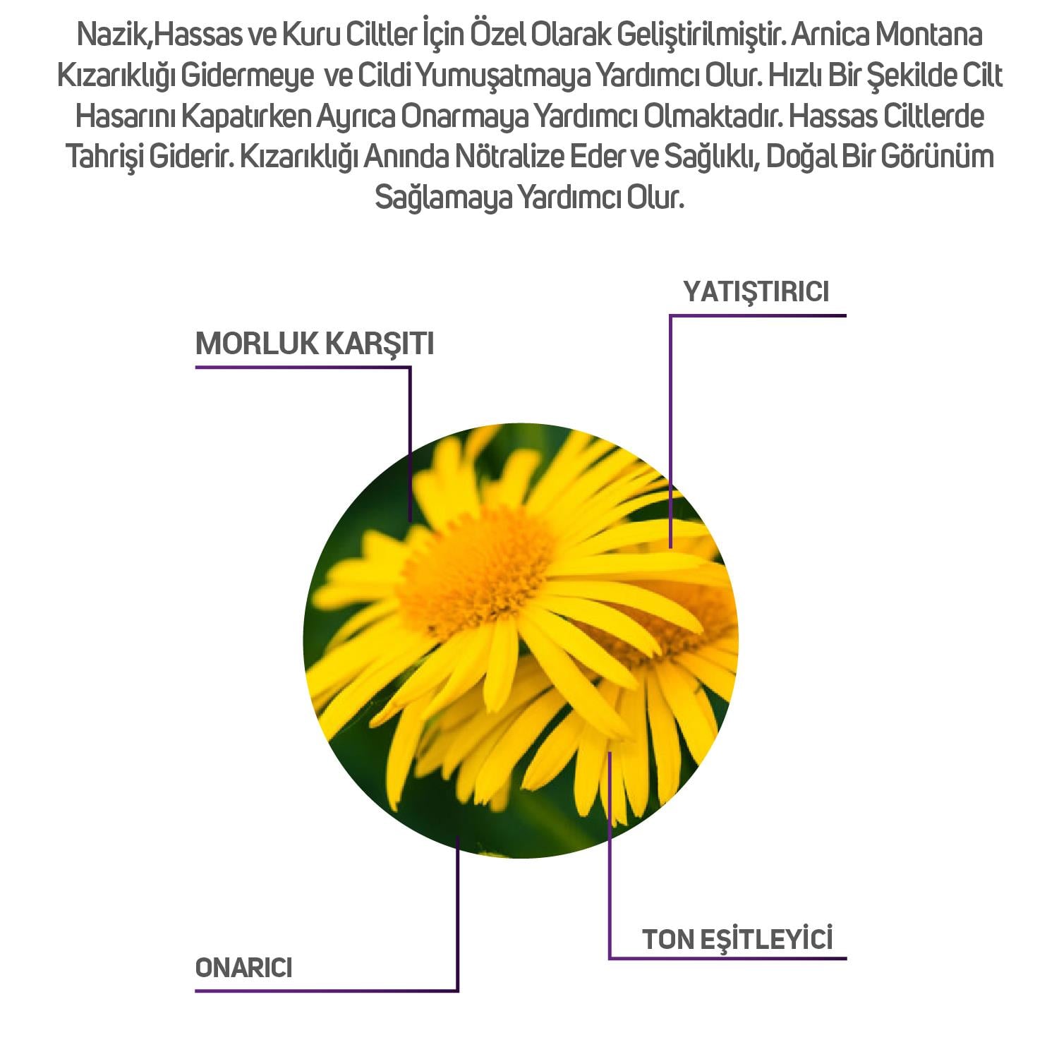 ClinicLab Pro+ Arnica Montana Yatıştırıcı Onarıcı Krem 50 ml