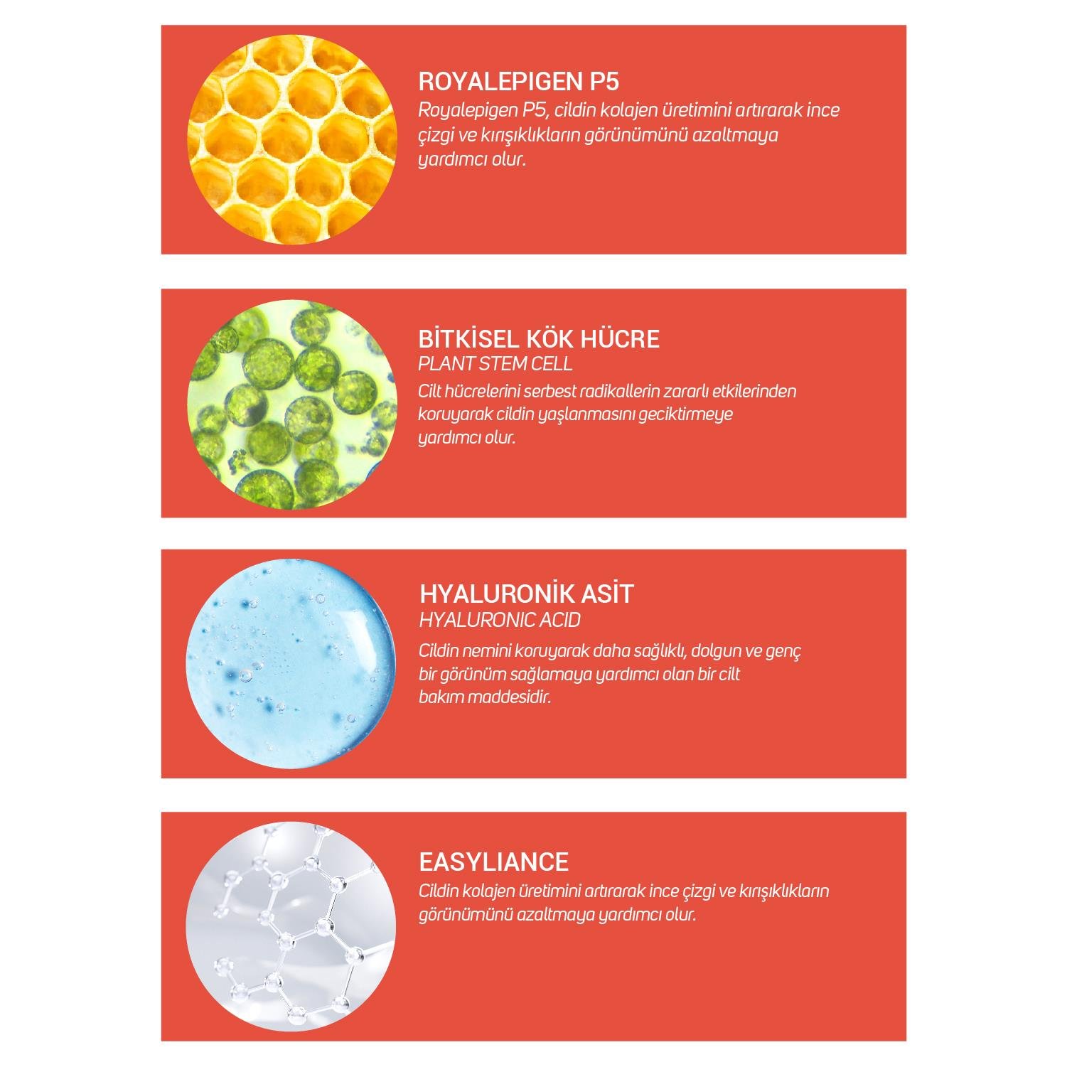 ClinicLab Yaşlanma Karşıtı ve Sıkılaştırıcı Krem 50 ml