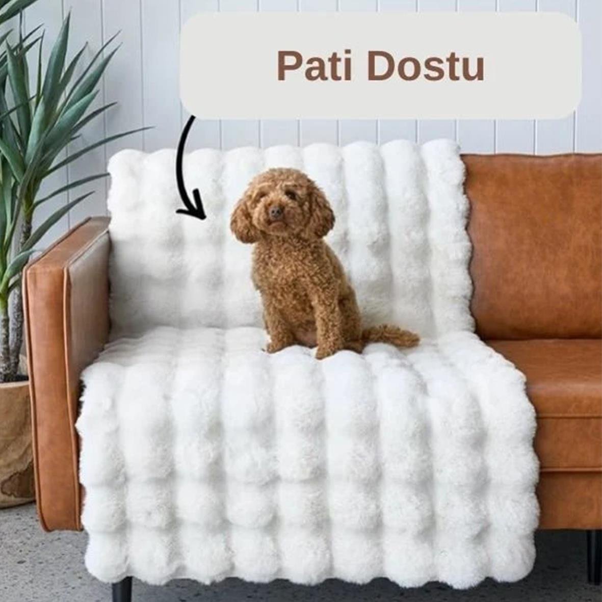 HalıCREA HALITAVŞAN BUBBLEHİLAL TEKSTİL VE DERİ ÜRÜNLERİ GIDA SAN. TİC. LTD. ŞTİ.CREA HALI TAVŞAN BUBBLE KOLEKSİYONU