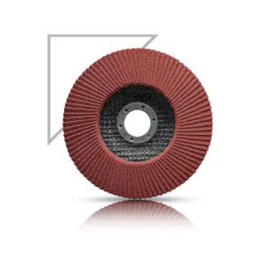 Karbosan Flap Disk Zımpara