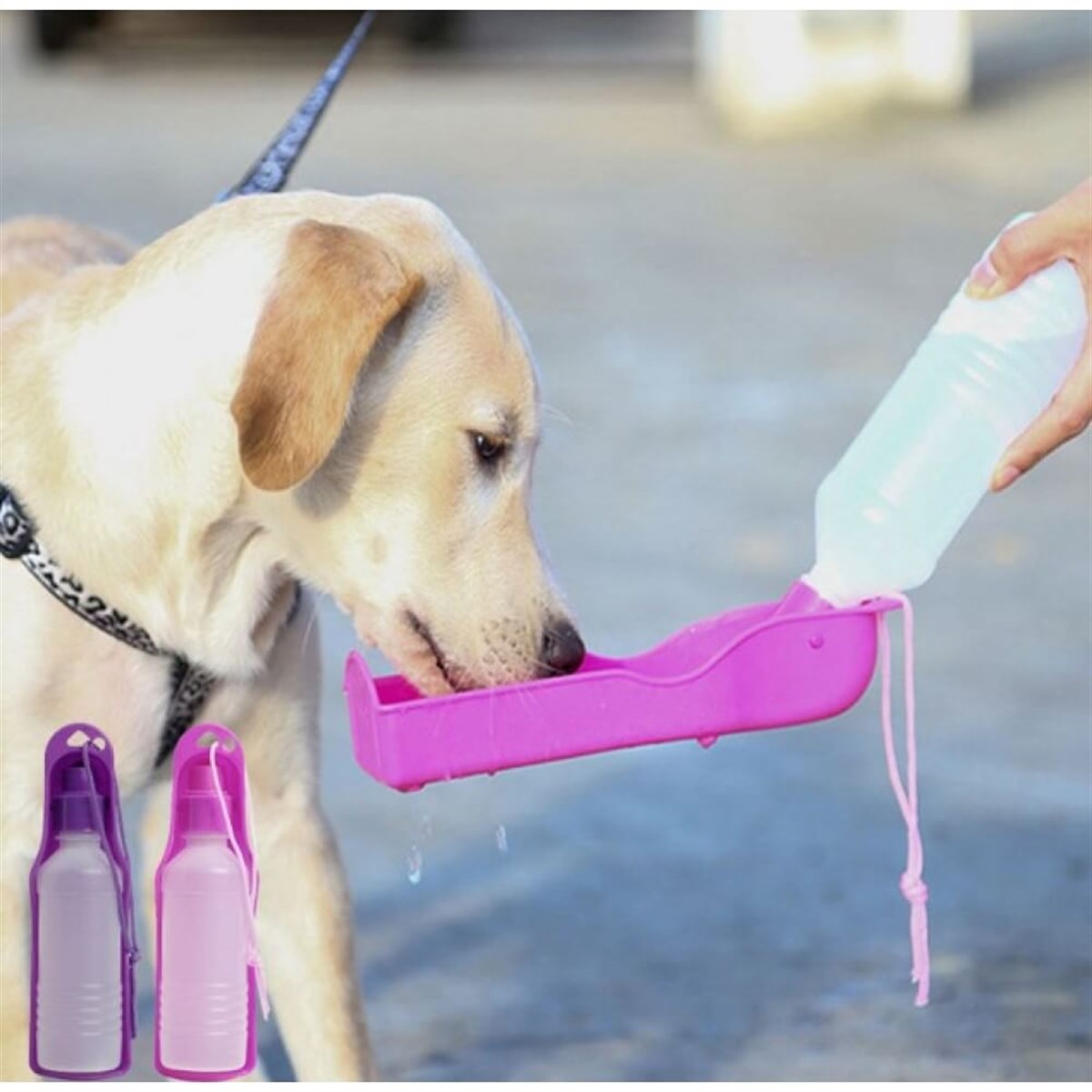 Evcil Hayvan Seyahat Suluğu 500 ML