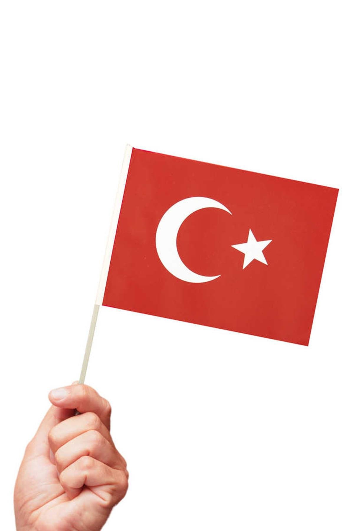 Ay Yıldız Büyük Boy Çıtalı Bayrak 20x30 cm 10'lu