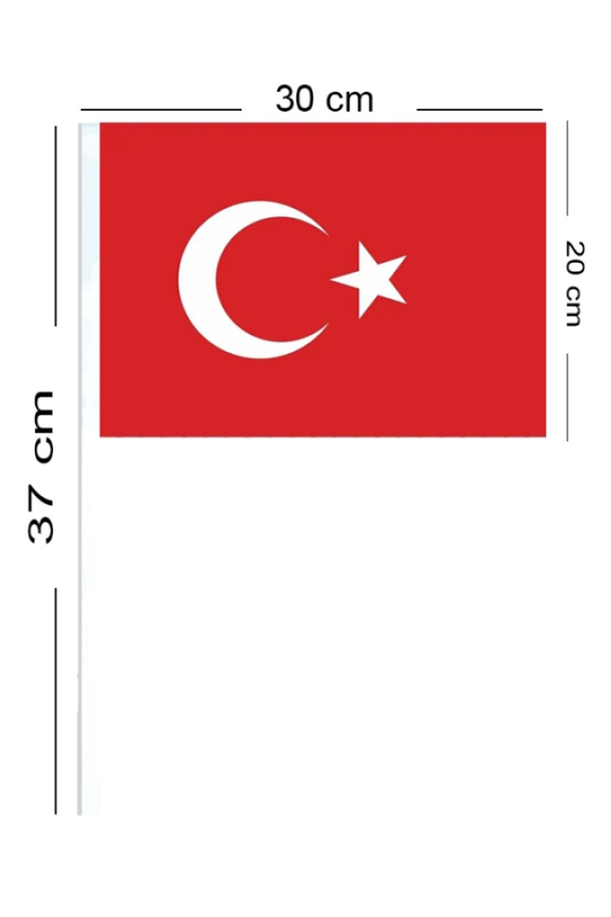 Ay Yıldız Büyük Boy Çıtalı Bayrak 20x30 cm 10'lu