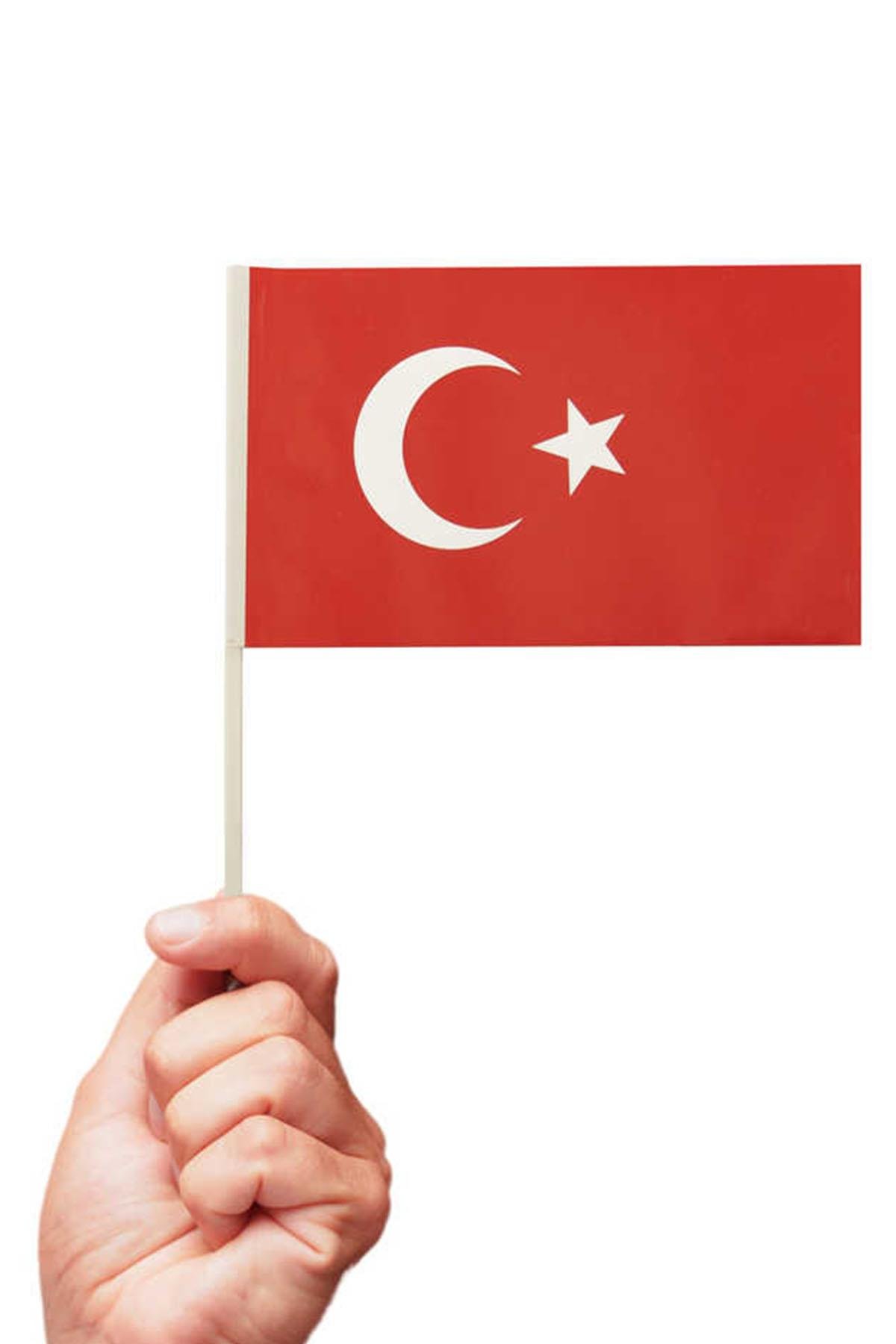 Ay Yıldız Çıtalı Bayrak 12x20 cm 10'lu