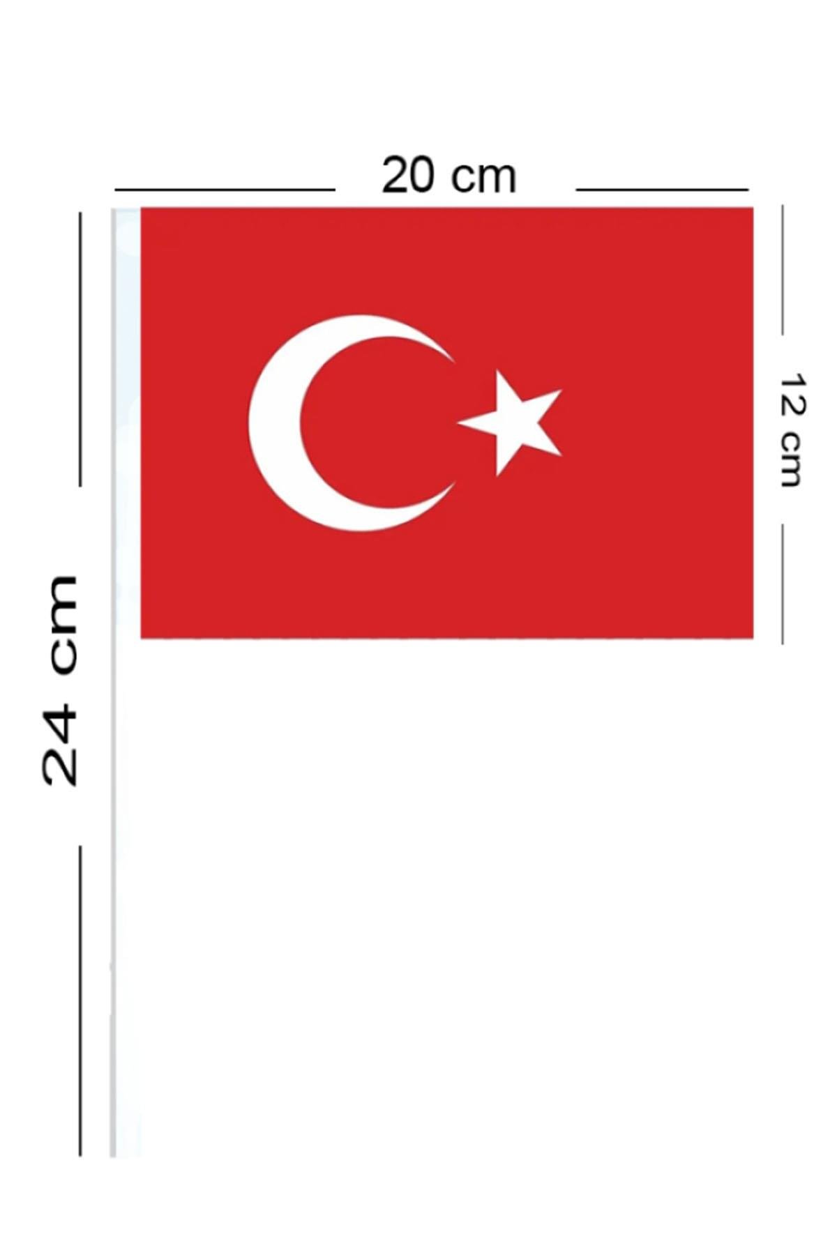 Ay Yıldız Çıtalı Bayrak 12x20 cm 10'lu