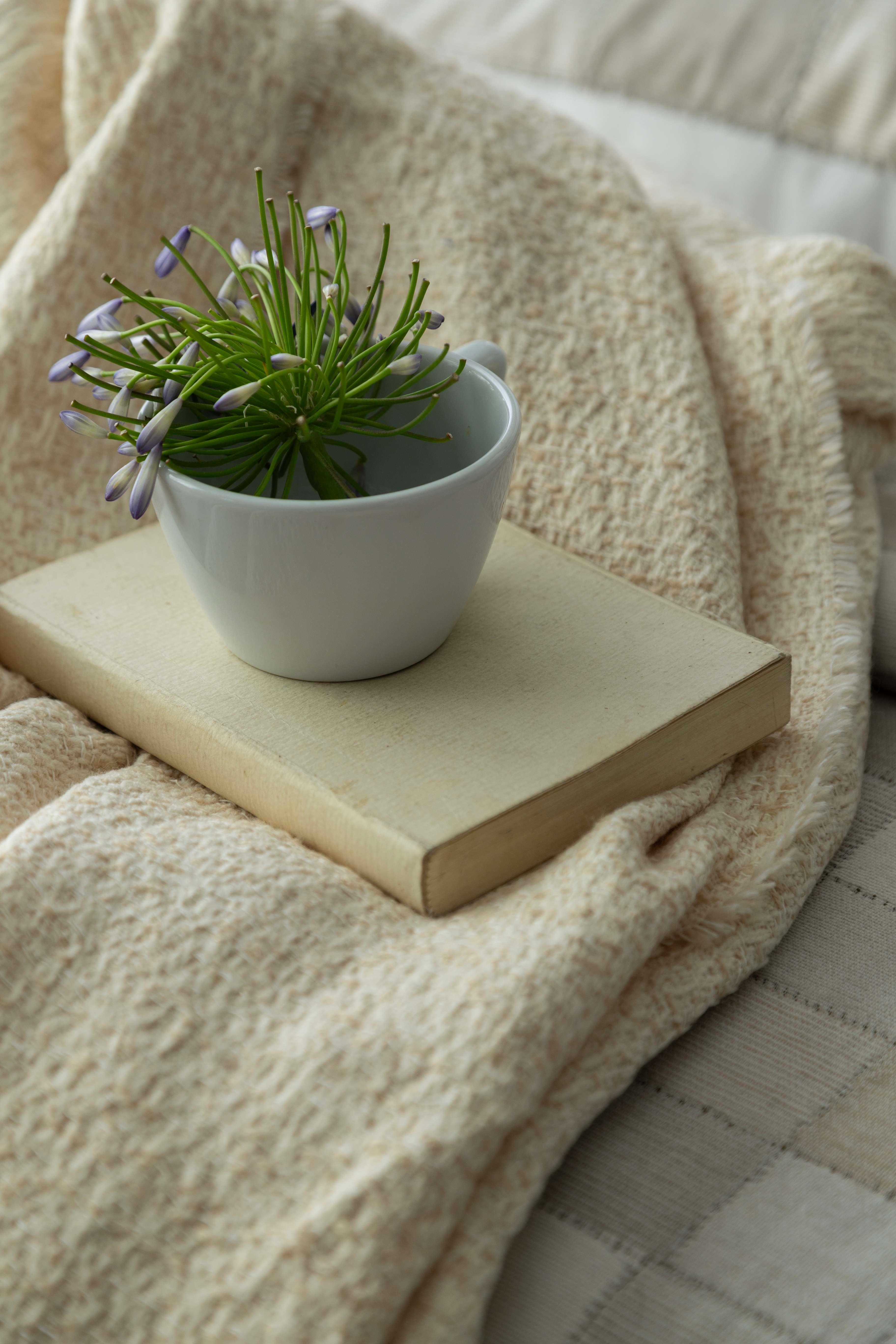 APRICITAS HOME C.K TIMELESS PRIME SET PIAZZA BEIGE