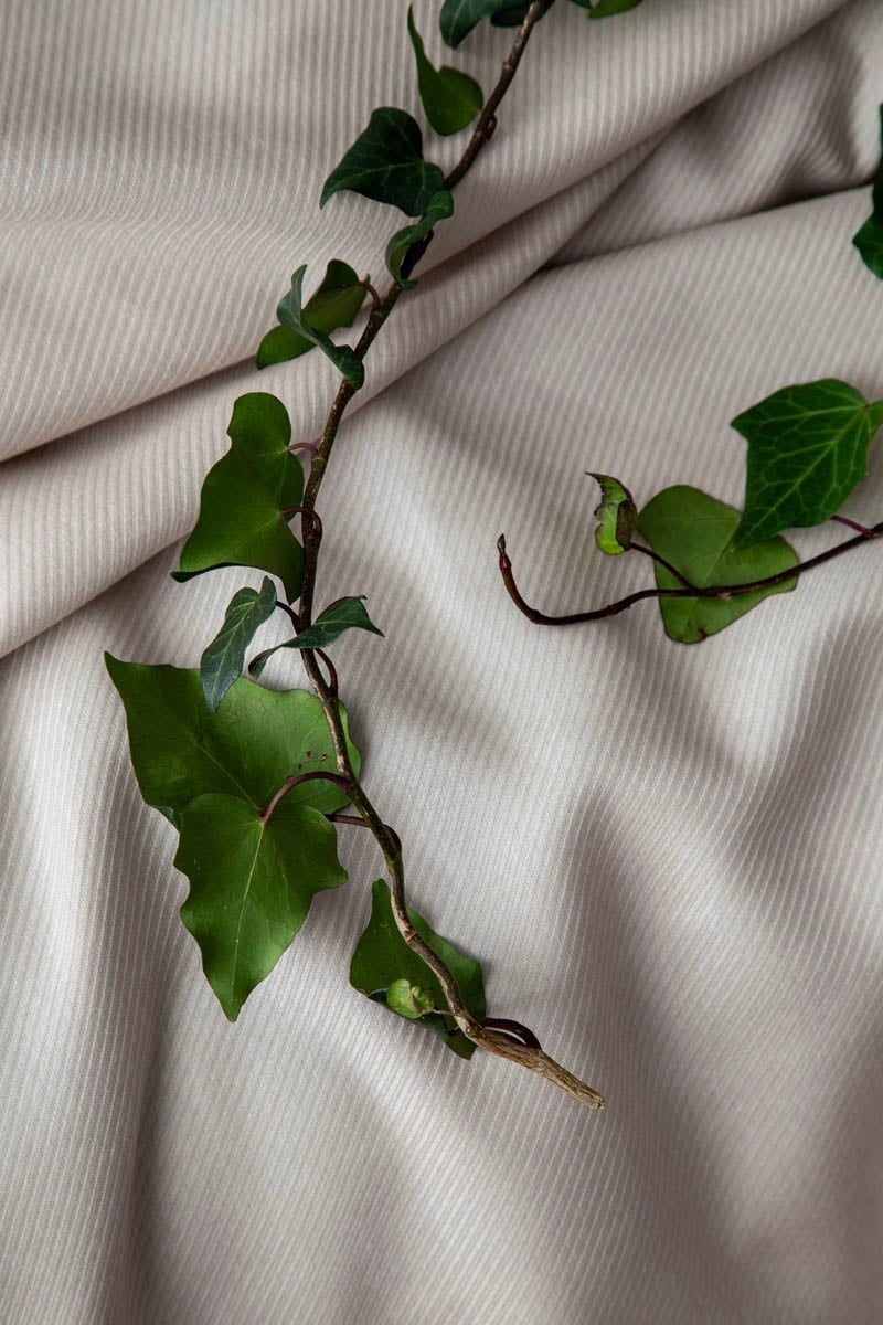 APRICITAS HOME T.K BAMBU PIKE TAKIMI TANYA BEJ