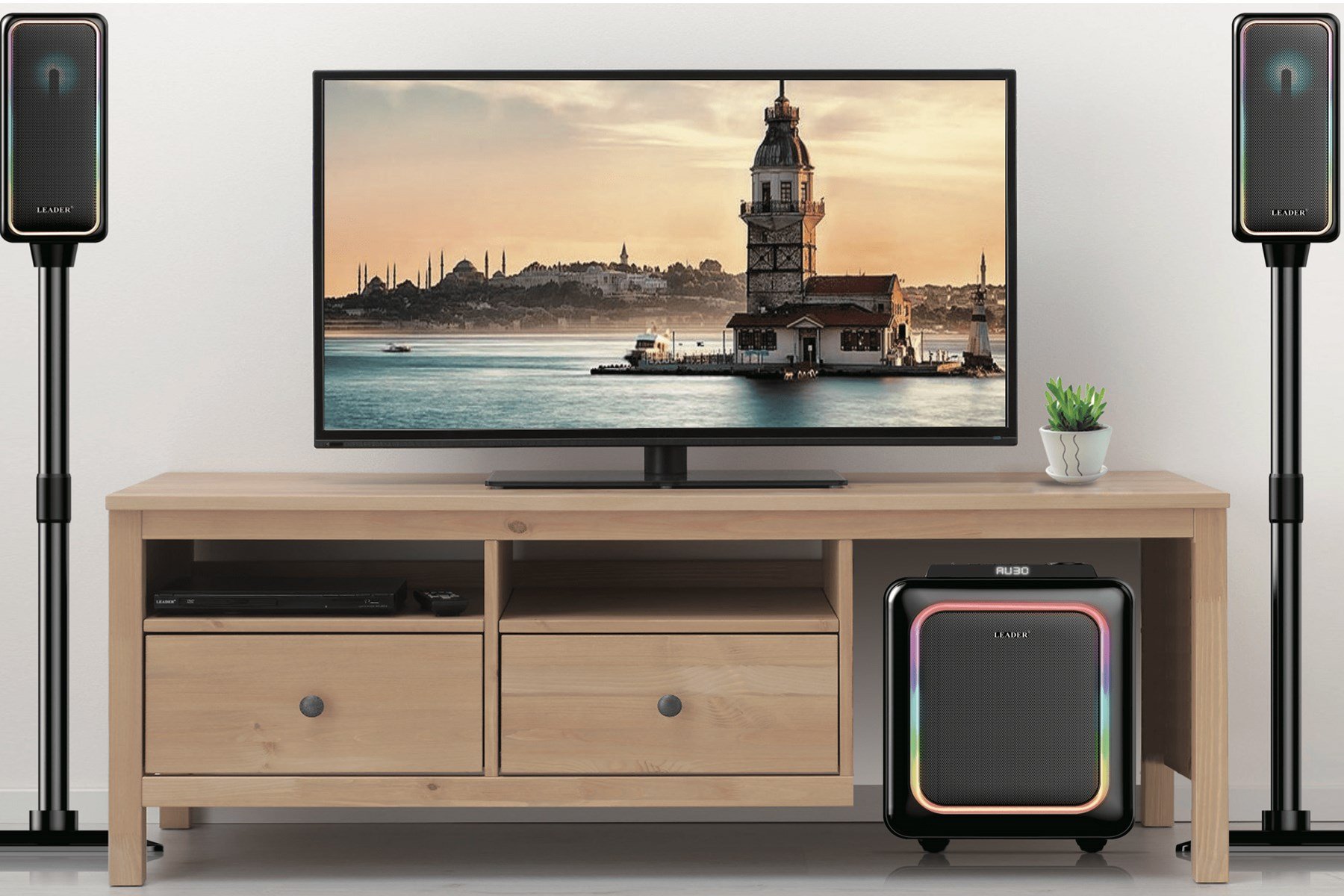 LEADER H2120 SES SISTEMI