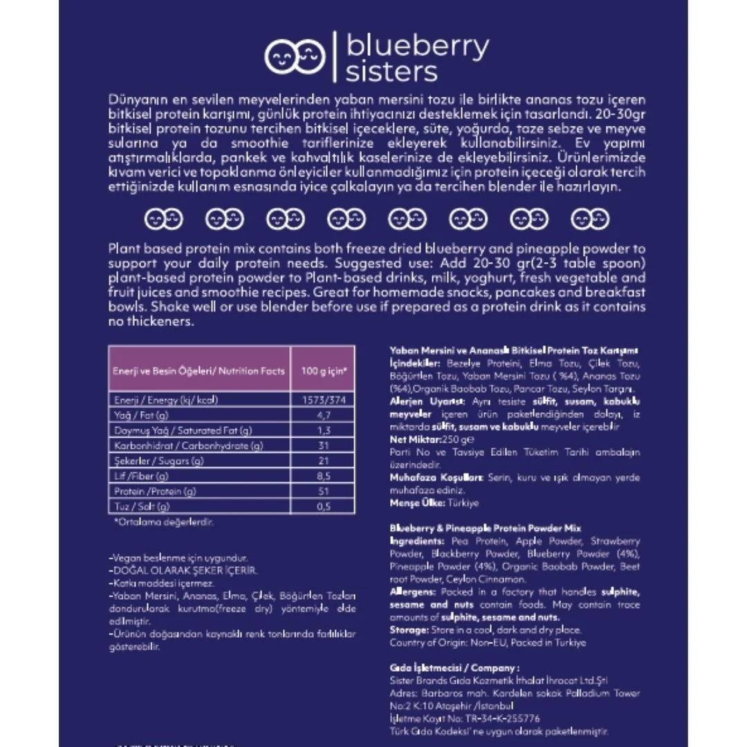 Blueberry Sisters Yabanmersini Ananaslı Bitkisel Protein 250 gr