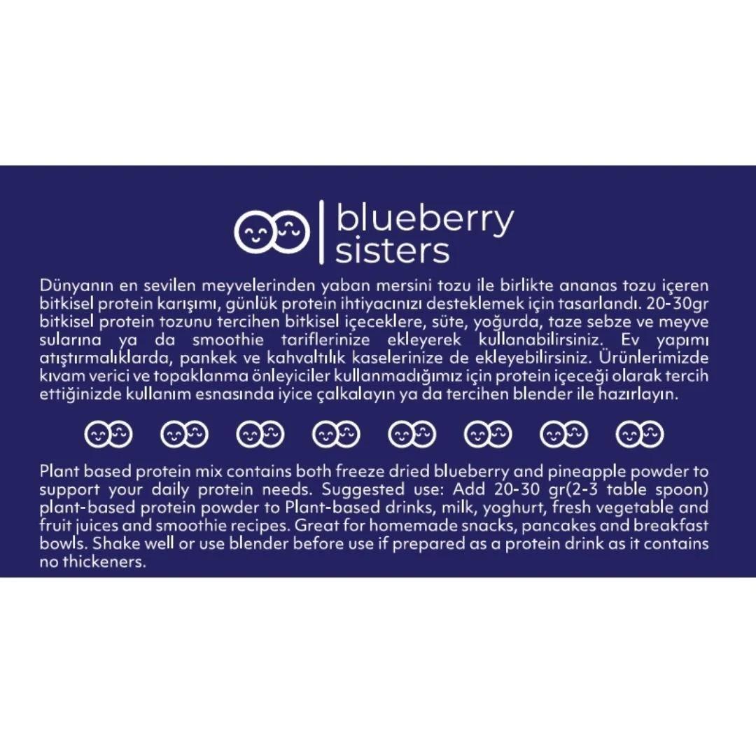 Blueberry Sisters Yabanmersini Ananaslı Bitkisel Protein 250 gr