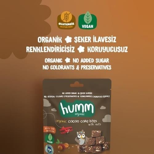 Organik Glutensiz Vegan Kakaolu ve Fındıklı Kek 30gr