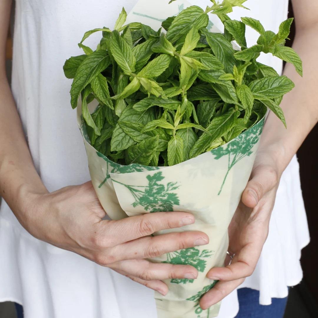 Mumo Vegan 2'li Büyük Set