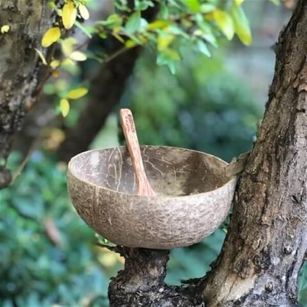 Coco Jumbo Natural Kase