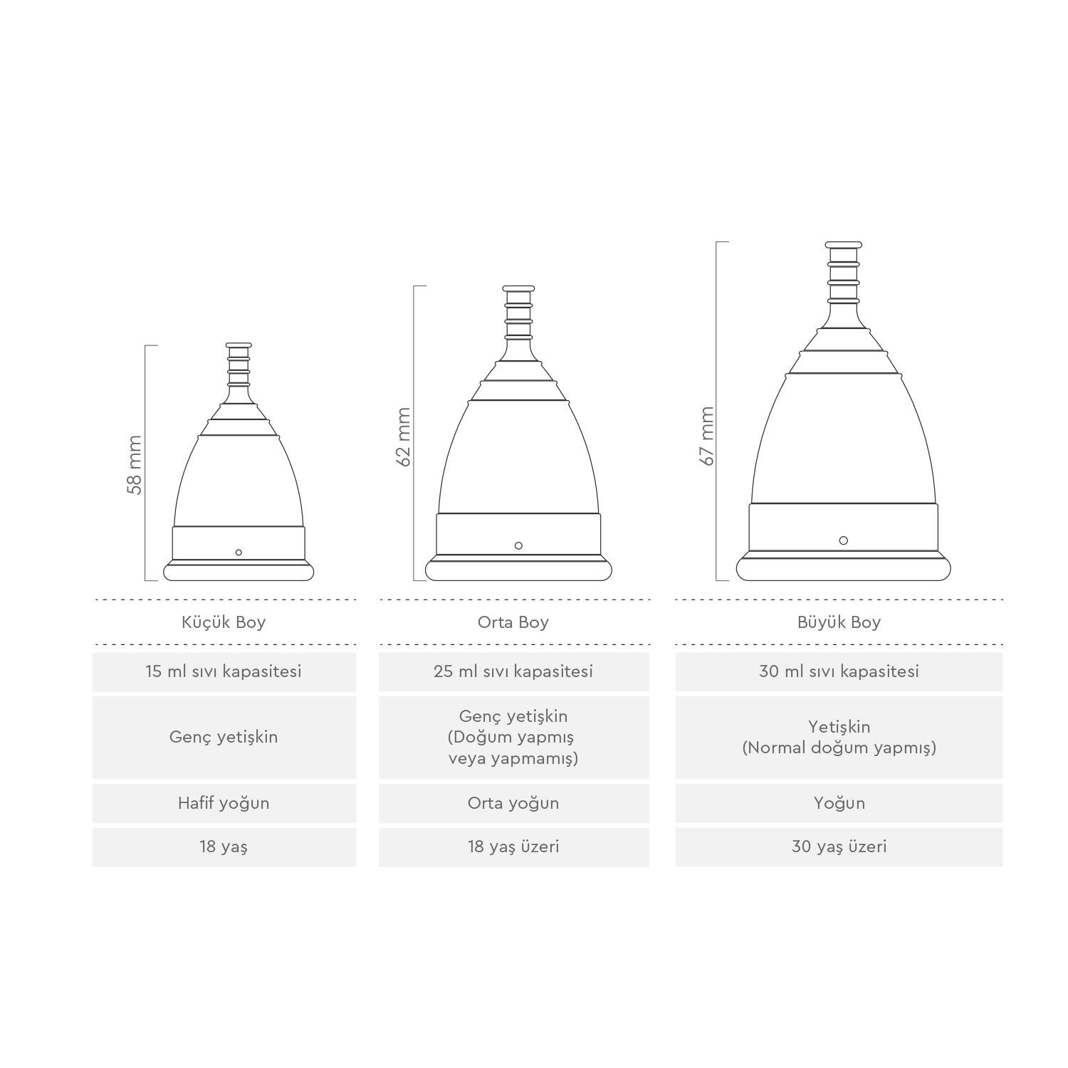 WellCup Regl Kabı - Küçük Boy