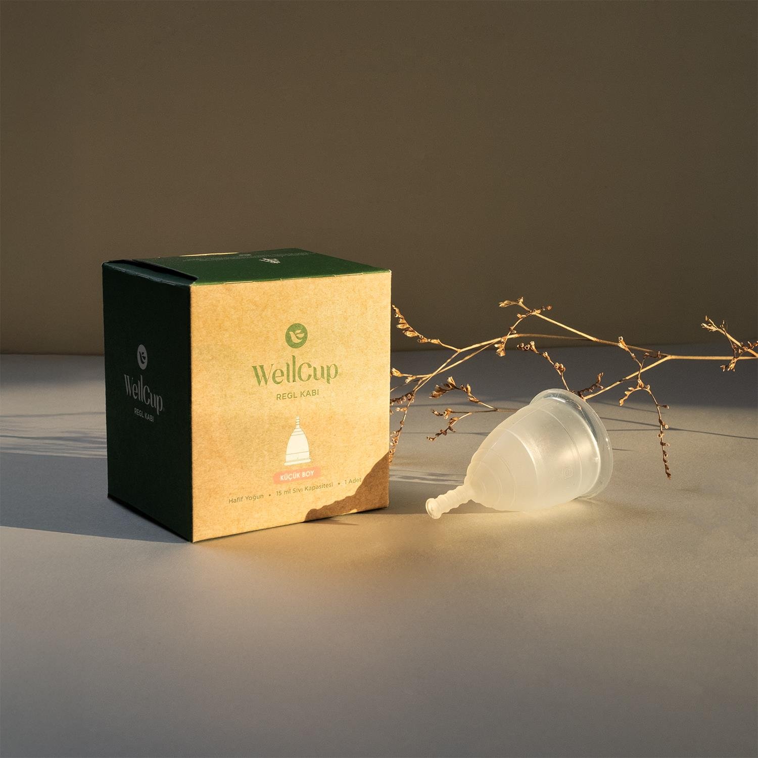 WellCup Regl Kabı - Küçük Boy